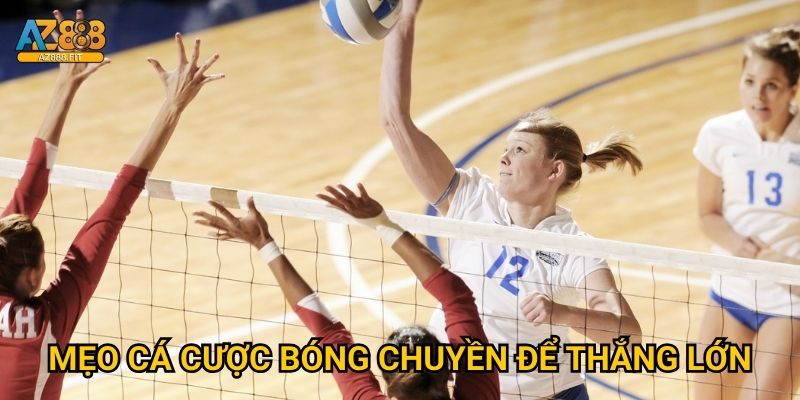 Bóng chuyền Az888 - Volleyball betting chuyên nghiệp 3 Mẹo cá cược bóng chuyền để thắng lớn